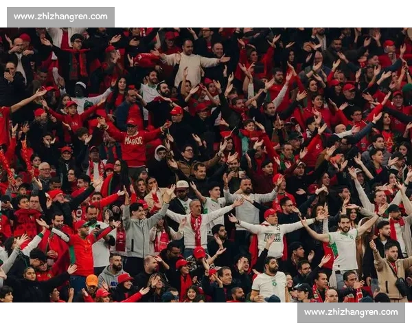 球迷的狂热！2026世界杯，为热爱挥洒汗水！